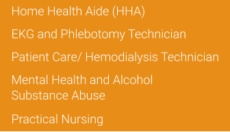Home Health Aide (HHA) EKG and Phlebotomy Technician Patient Care/ Hemodialysis Technician Mental Health and Alcohol  Substance Abuse Practical Nursing